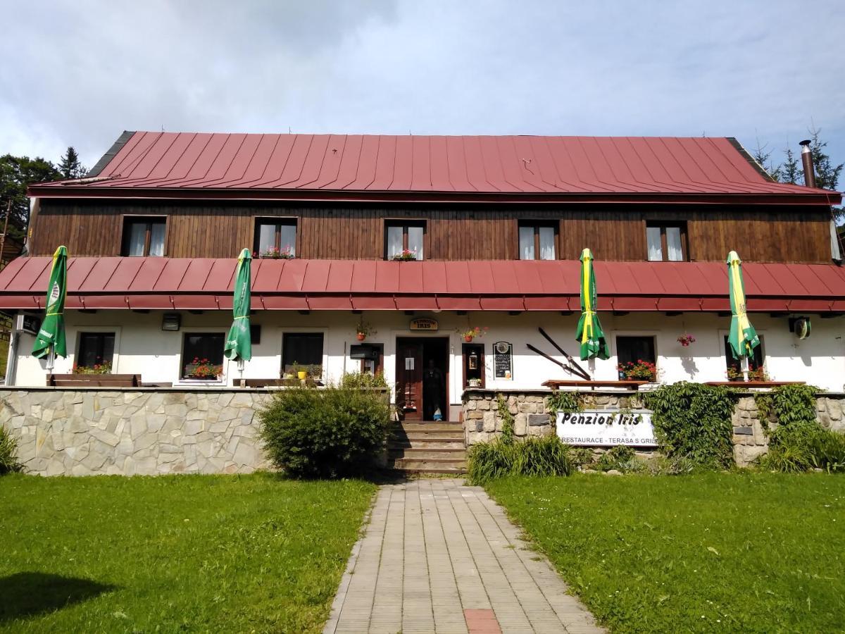 Penzion Iris Krkonose Horni Marsov Exterior photo