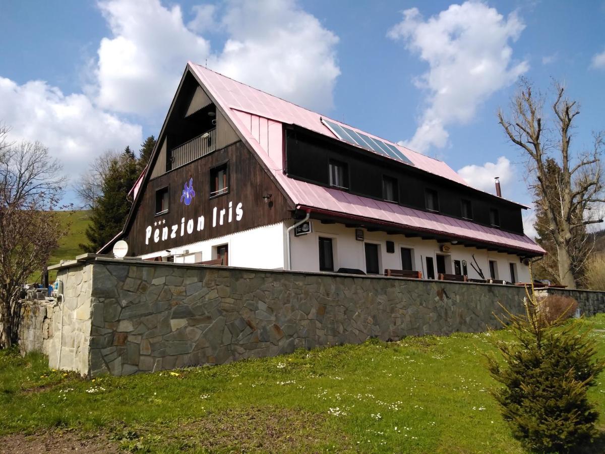Penzion Iris Krkonose Horni Marsov Exterior photo