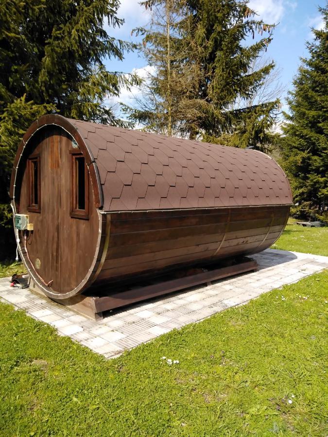 Penzion Iris Krkonose Horni Marsov Exterior photo